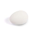 Rubber nest ei wit 56 mm, Ophalen of Verzenden, Nieuw