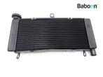Radiateur Honda CB 600 F Hornet 2000-2002 (CB600F CB600S, Motoren, Verzenden, Gebruikt