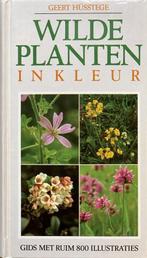 Wilde planten in kleur 9789065902047 Geert Husstege, Boeken, Gelezen, Verzenden, Geert Husstege, Piet Landsman