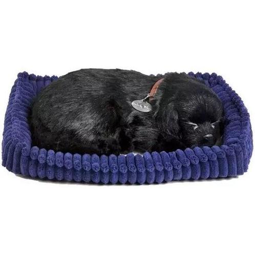 Perfect petzzz Soft labrador, Kinderen en Baby's, Speelgoed | Knuffels en Pluche, Zo goed als nieuw, Ophalen of Verzenden