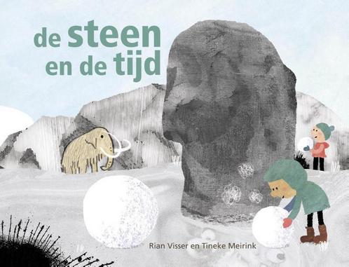 De steen en de tijd 9789491647260 Rian Visser, Boeken, Prentenboeken en Plaatjesalbums, Gelezen, Verzenden