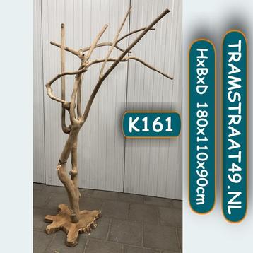 Koffieboom - javaboom - vogelstandaard - papegaaienboom beschikbaar voor biedingen