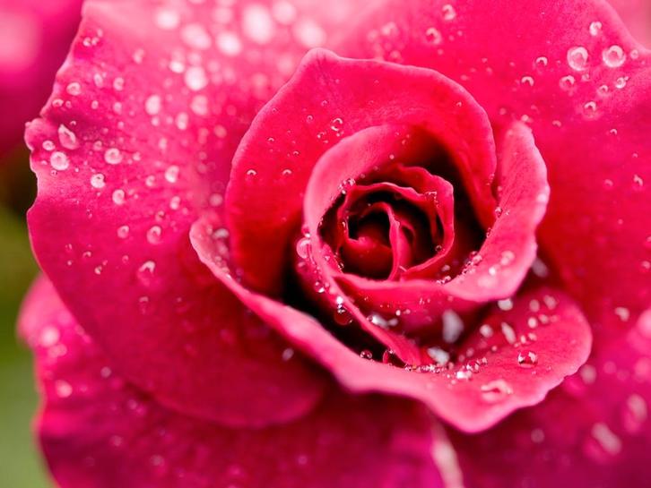 Aromatherapie gelpotten - Aromas Naturales verkrijgbaar in, Tuin en Terras, Zwembad-toebehoren, Verzenden