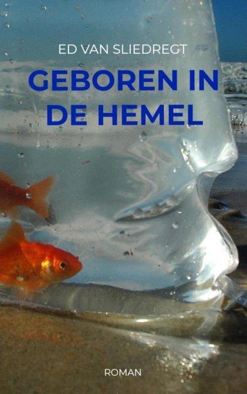 9789464059472 Geboren in de hemel Ed van Sliedregt, Boeken, Romans, Nieuw, Verzenden