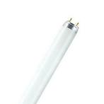 Osram 11 - 36 watt - 120 cm, Dieren en Toebehoren, Vissen | Aquaria en Toebehoren, Ophalen of Verzenden, Nieuw