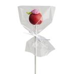 HoM Cakepops / Lollipop zakjes 10x15cm 50st., Hobby en Vrije tijd, Taarten en Cupcakes maken, Verzenden, Nieuw