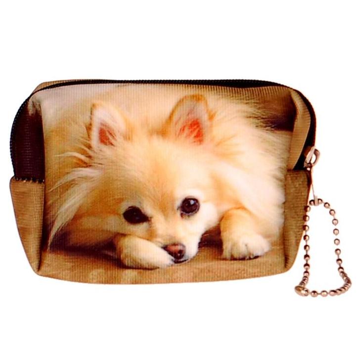 Kleine etui/klein toilettasje Dwergkeeshond NIEUW, Diversen, Schoolbenodigdheden, Nieuw, Ophalen of Verzenden