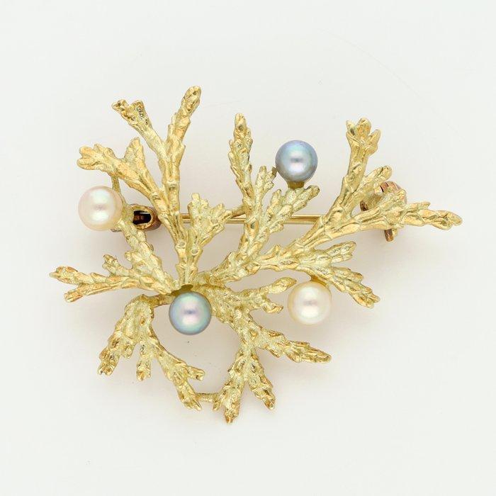 Broche - 14 karaat Geel goud - Parel, Sieraden, Tassen en Uiterlijk, Antieke sieraden