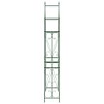 Tuinboog 120x38x258 cm ijzer donkergroen (Tuinbogen pergola)