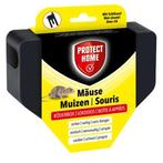 Muizen lokdoos | Protect Home, Verzenden, Nieuw