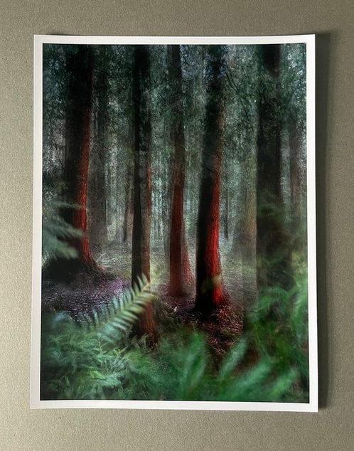 Andre Lichtenberg - Red Forest, Antiek en Kunst, Kunst | Designobjecten