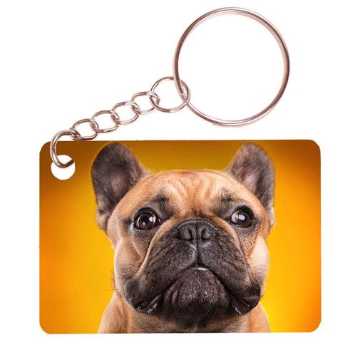 Sleutelhanger 6x4cm - Franse Bulldog Bruin NIEUW, Verzamelen, Sleutelhangers, Nieuw, Ophalen of Verzenden