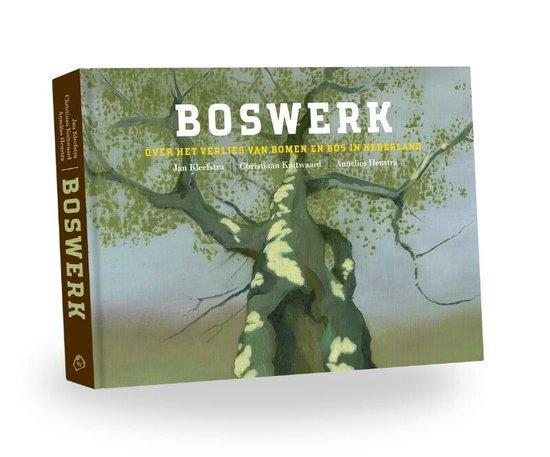 Boswerk 9789492052926 Annelies Henstra, Boeken, Hobby en Vrije tijd, Zo goed als nieuw, Verzenden