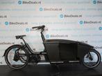 Urban Arrow Family Cargo Line Bes 2 Doggy 2024, Fietsen en Brommers, Fietsen | Bakfietsen, Verzenden, Gebruikt