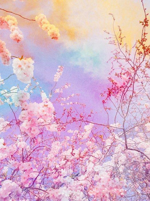 Viet Ha Tran - The colors of spring XI, Antiek en Kunst, Kunst | Designobjecten
