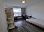 Kamer Statenlaan in Tilburg, Overige soorten, Noord-Brabant