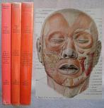 Sobotta / Becher - Atlas of Human Anatomy - 1975, Antiek en Kunst, Antiek | Boeken en Bijbels