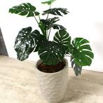 Kunstplant Monstera in sierpot, H125 cm, Ophalen of Verzenden, Nieuw in verpakking