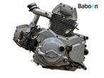 Motorblok Ducati Monster 600 1994-2001 (M600), Motoren, Onderdelen | Ducati, Verzenden, Gebruikt