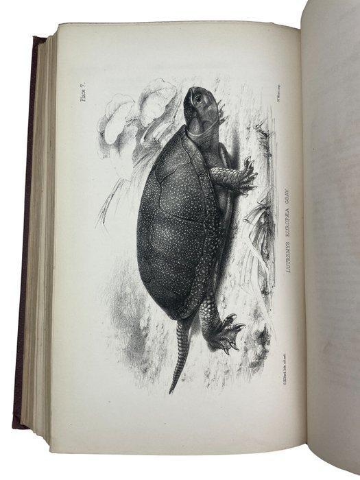 Signed; Oswald Mosley - The Natural History of Tutbury -, Antiek en Kunst, Antiek | Boeken en Bijbels