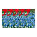 Korenbloemzaad | VT (Blauw) | 5 stuks, Tuin en Terras, Bloembollen en Zaden, Verzenden