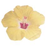 Gele Servetten Bloemen 16,5cm 16st, Verzenden, Nieuw