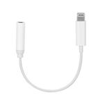 Lightning Naar mini jack adapter - Universeel, Ophalen of Verzenden, Nieuw