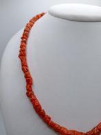 Bloedkoraal Koraal - Corallium rubrum (Zonder Minimumprijs), Antiek en Kunst