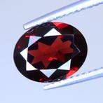 Zonder Minimumprijs Oranje, Rood Granaat  - 2.78 ct -, Nieuw