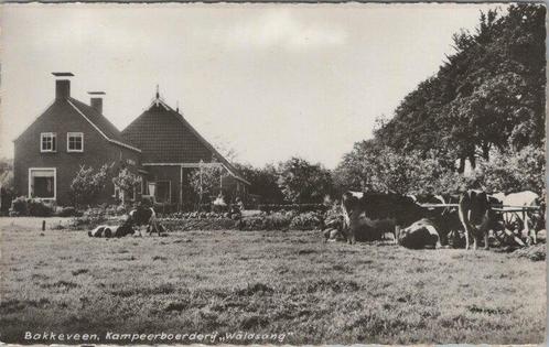 BAKKEVEEN - Kampeerboerderij Wâldsang, Verzamelen, Ansichtkaarten | Nederland, Verzenden
