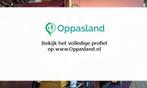 Ninja zoekt een oppas in Roosendaal voor 2 kinderen op vr...