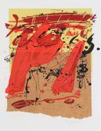 Kees Salentijn (1947) - Bruin hoofd, blauwe rand