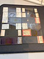 Microscope slide - biology, zoology, botany, histology,