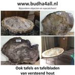 versteend hout schijven en tafels - miljoenen jaar oud hout, Verzamelen, Mineralen en Fossielen, Ophalen of Verzenden, Mineraal