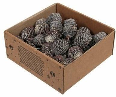 Leucadendron Murri op draad White Wash 50 stuks, Huis en Inrichting, Woonaccessoires | Kunstplanten en Kunstbloemen, Nieuw, Ophalen of Verzenden