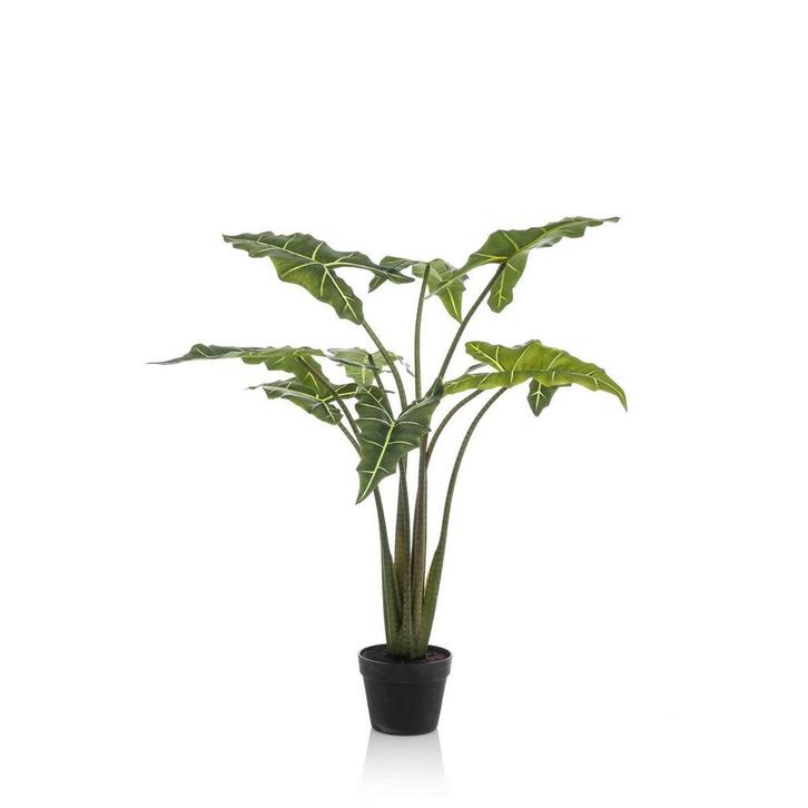 Kunstplant - Alocasia Frydek - Olifantsoor - 100 cm, Huis en Inrichting, Woonaccessoires | Wanddecoraties, Nieuw, Verzenden