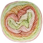 Scheepjes Stone Washed Flow - 10 Harmonia - Katoen-mix Gar, Ophalen of Verzenden, Nieuw