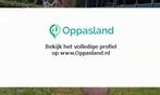 Silvana zoekt een oppas in Steenderen voor 3 kinderen., Vacatures, Vacatures | Klantenservice en Callcenter