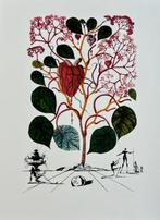 Salvador Dali (1904-1989) - Le Bégonia - Limited Edition, Antiek en Kunst