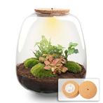 Planten terrarium - Emma - DIY kit -  25 cm - Ø 23 cm - Hed, Tuin en Terras, Verzenden