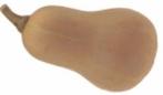 Ponca Butternut - basiseenheid Ponca Butternut, Ophalen of Verzenden, Nieuw