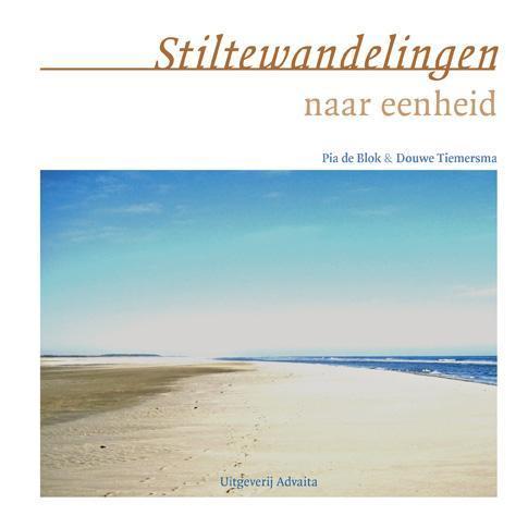 Stiltewandelingen naar eenheid 9789077194096 Douwe Tiemersma, Boeken, Filosofie, Zo goed als nieuw, Verzenden