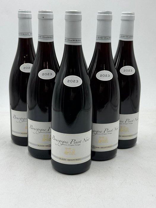 2023 Alain Geoffroy Bourgogne Pinot Noir - Bourgogne - 6, Verzamelen, Wijnen