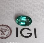 1 pcs Groen Smaragd - 2.65 ct - International Gemological, Nieuw