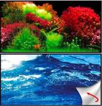 Osaka achterwandposter Ocean/Ruby (Achterwandposters), Dieren en Toebehoren, Vissen | Aquaria en Toebehoren, Ophalen of Verzenden