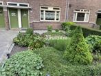 Woningruil - Brinkstraat 65 - 2 kamers en Amsterdam, Amsterdam