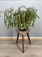 Plantentafel - Hout - Formica bijzettafel