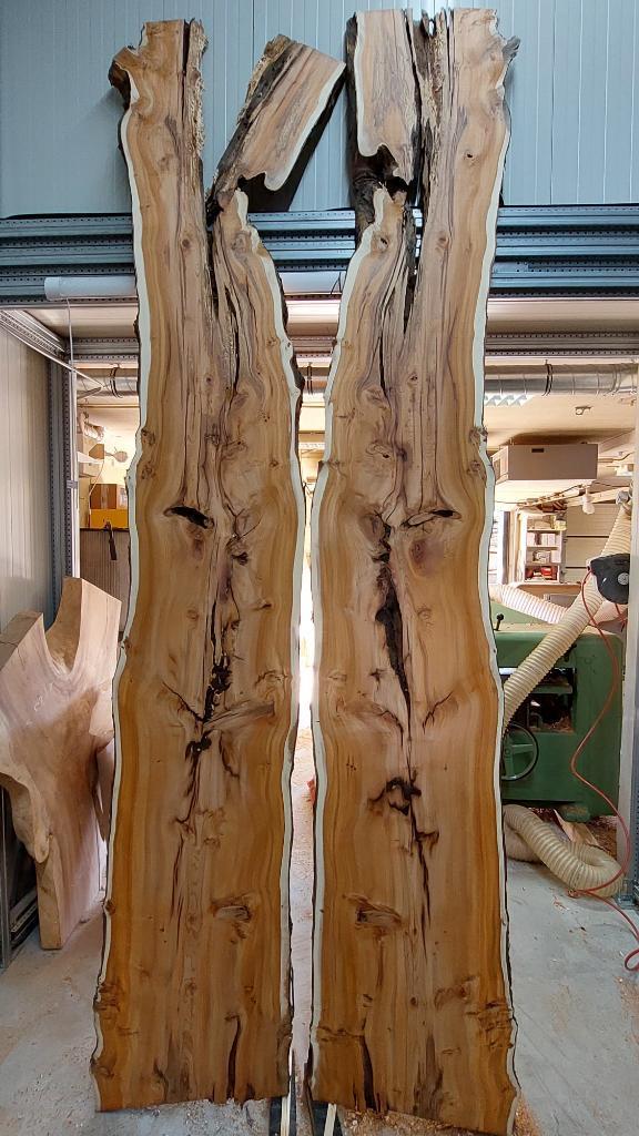Hout voor epoxy liefhebbers, Taxus, iepen, beuk, eik, noten, Doe-het-zelf en Verbouw, Hout en Planken, Eiken, 200 tot 250 cm, 25 tot 50 mm