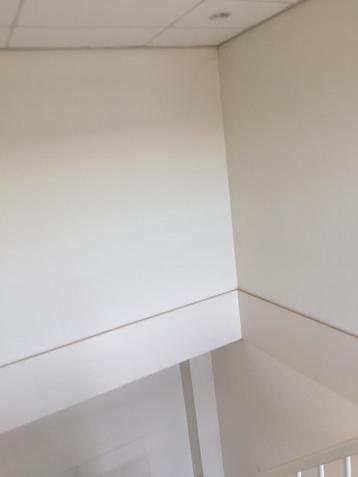 RenoVlies Behangen Scherp geprijsd beschikbaar voor biedingen