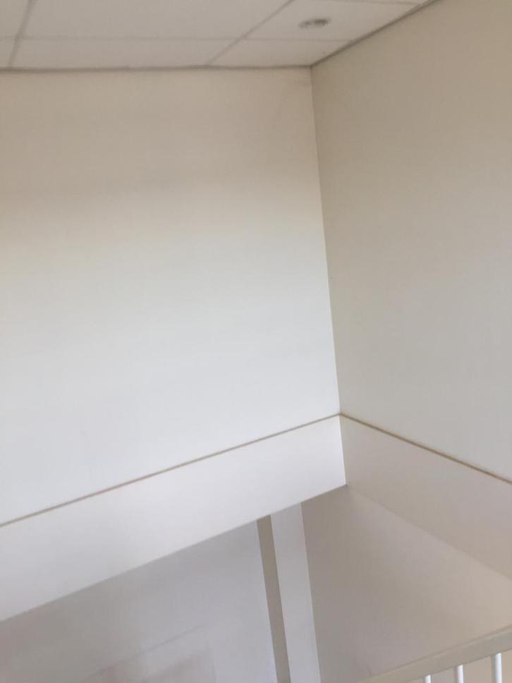 RenoVlies Behangen Scherp geprijsd, Diensten en Vakmensen, Schilders en Behangers, Behangen